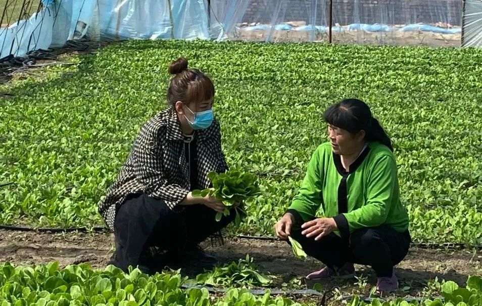 致富热经种植_种植致富新项目_致富种植什么比较赚大钱