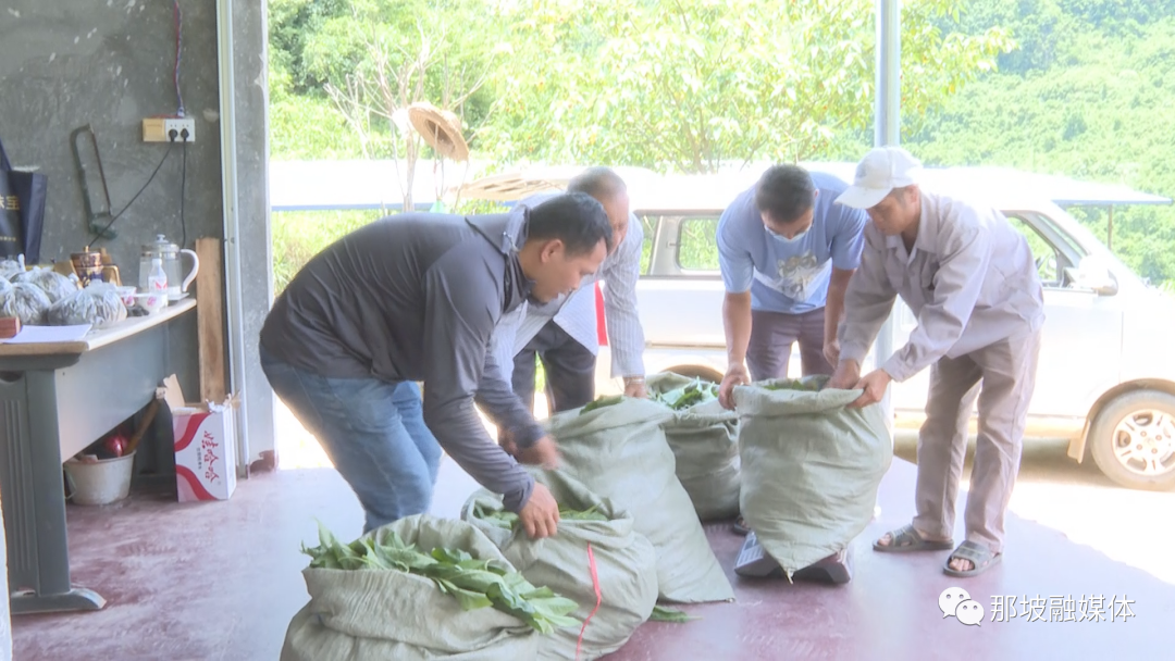 致富种植什么比较赚大钱_致富热经种植_致富种植视频全集