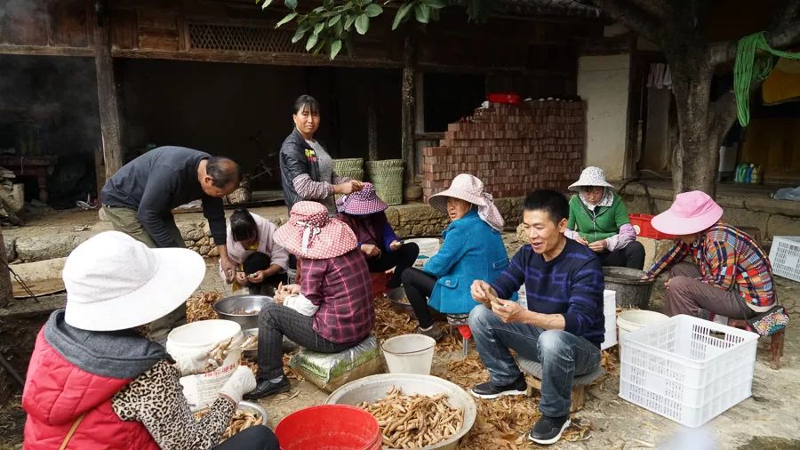 种植致富新项目_致富热经种植_致富种植视频全集