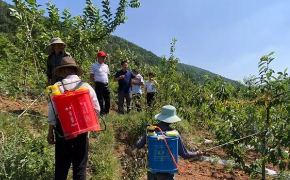 种地怎么致富_土地种植致富方法_致富种植土地方法图片