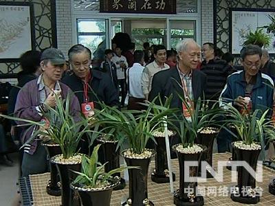 四川的兰花好养吗_四川兰花吧_四川兰花种植致富经