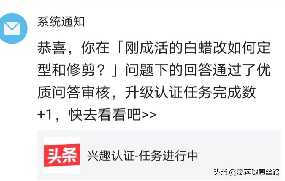 通过优质问答经验分享_做经验分享时的客套话_怎么通过优质问答审核