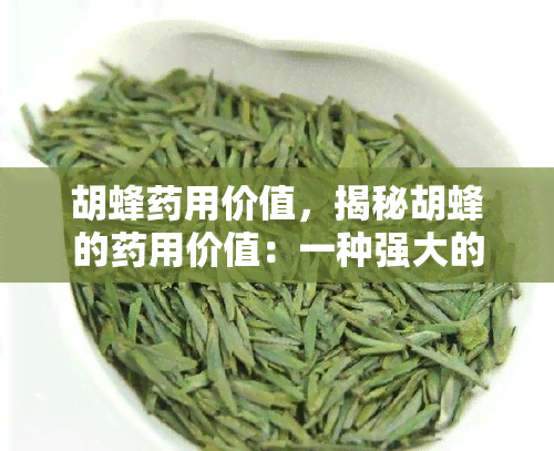 胡蜂药用价值，揭秘胡蜂的药用价值：一种强大的自然疗法