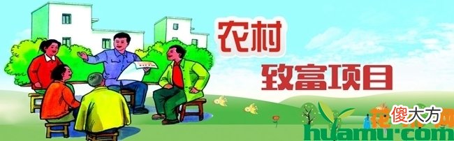 农村致富种植什么好