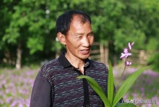 卢氏黄精种植致富_卢氏黄精种植致富_卢氏黄精种植致富