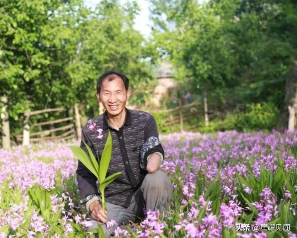 卢氏黄精种植致富_卢氏黄精种植致富_卢氏黄精种植致富