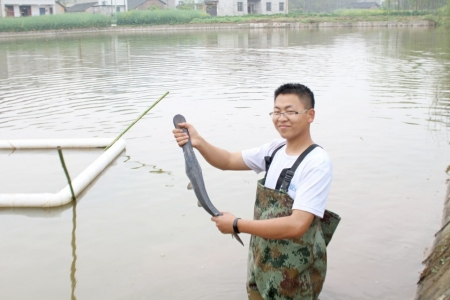 致富养殖高效项目是什么_致富养殖高效项目有哪些_高效养殖致富项目