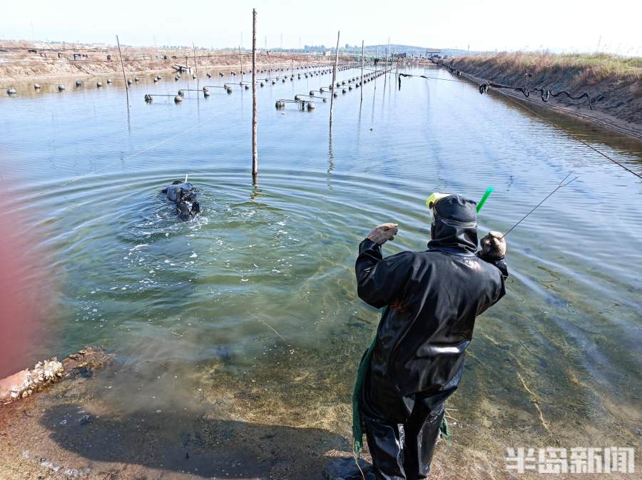 农村室内养殖致富项目_室内养殖业致富项目_室外养殖致富项目