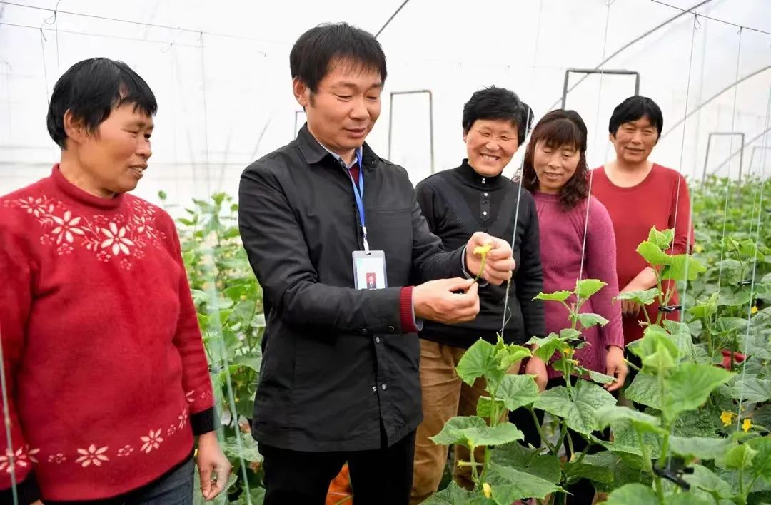 致富经种植三种水果亩收入过亿_致富水果种植农民视频_水果种植农民致富