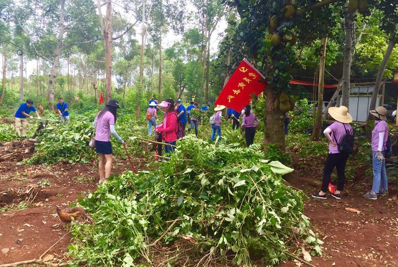 山药致富经_山药种植致富案例_山药种植技术致富经