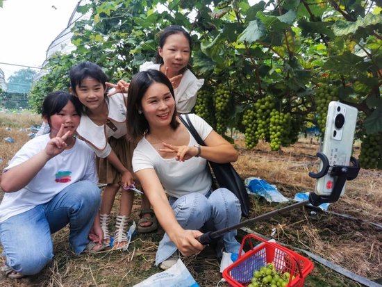 南通葡萄种植基地_南通致富种植葡萄基地地址_南通葡萄种植致富