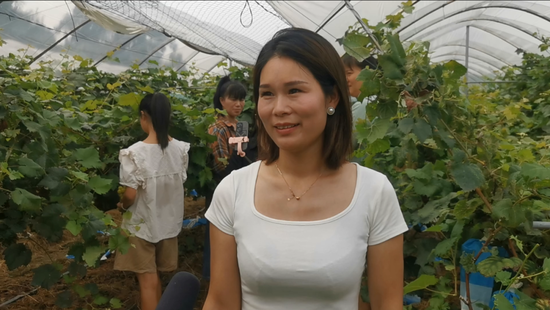 南通葡萄种植致富_南通致富种植葡萄基地地址_南通葡萄种植基地