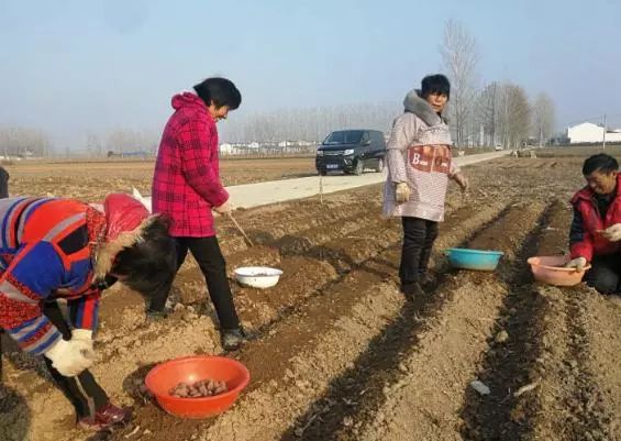 农村致富项目，种植什么最赚钱？来听听种植大户怎么说