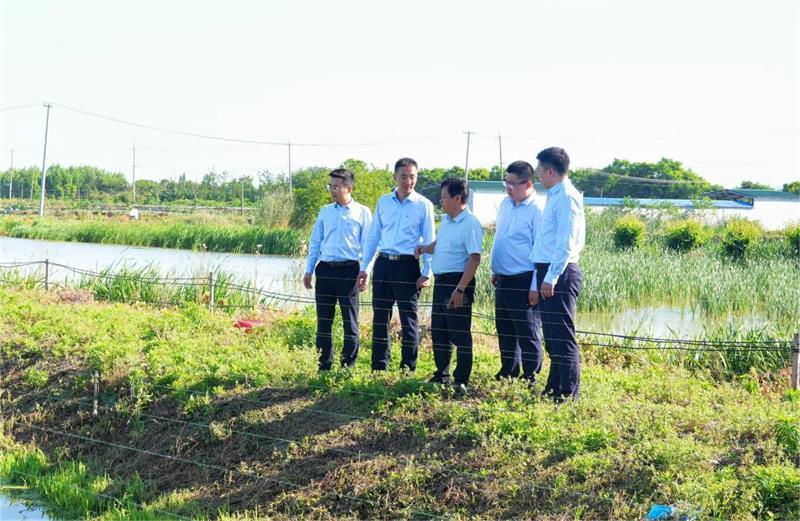 致富项目养狗_养殖狗狗致富经历_致富经狗灌养殖前景