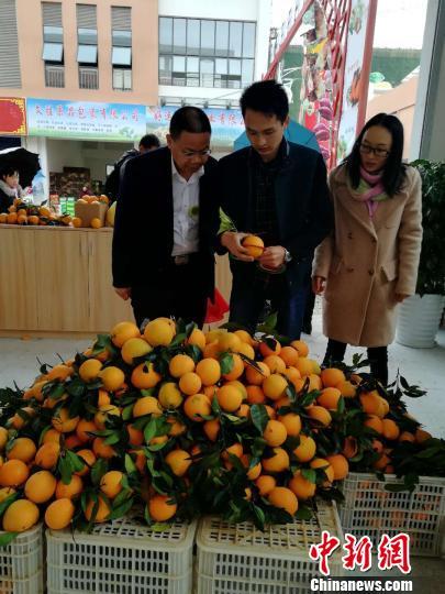 赣州出名的水果_江西赣州种植什么水果最好_赣州种植水果致富