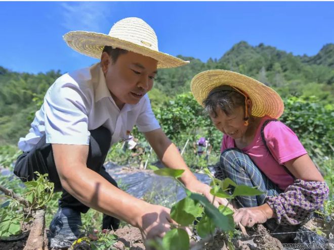 山区农村致富_贫困村致富_贫困山乡种植致富