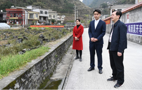 野生中药种植致富_药草种植哪几种最赚钱野生药草_致富药材种植