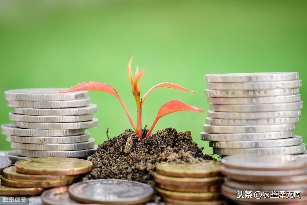 农业节目致富经_致富种植视频全集_农业种植致富节目