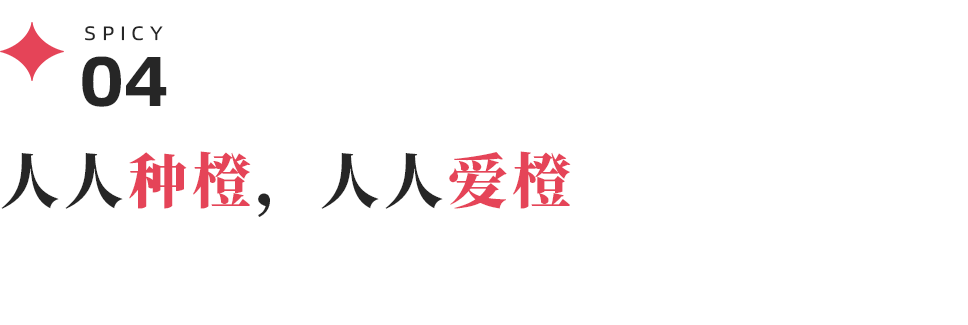 赣州水果基地_赣州出名的水果_赣州种植水果致富