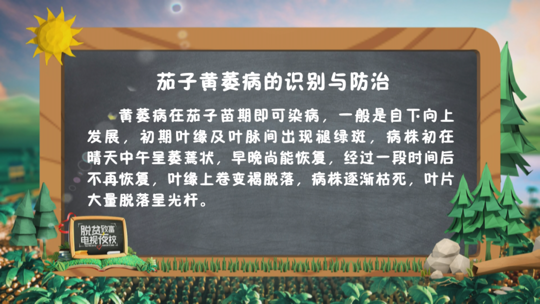 种植哈密瓜视频_哈蜜瓜种植技术视频_哈密瓜怎样种植视频播放