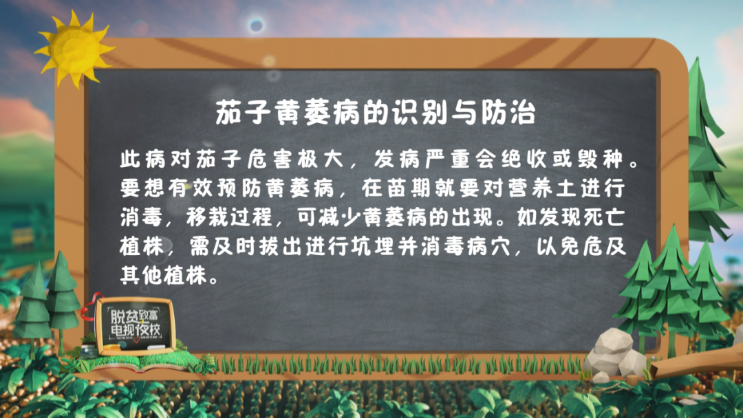 哈蜜瓜种植技术视频_哈密瓜怎样种植视频播放_种植哈密瓜视频