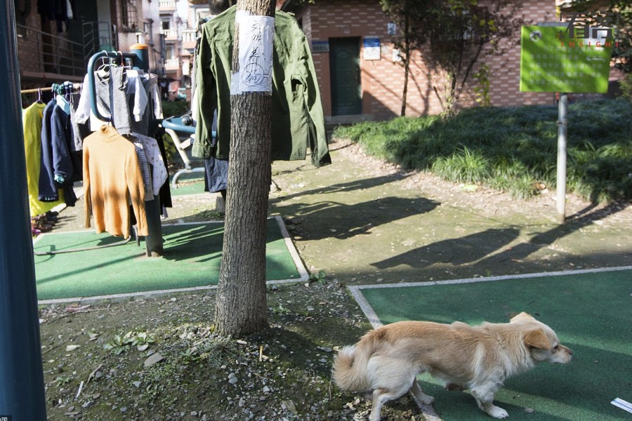 致富经养殖宠物_致富养殖项目_养殖宠物赚钱