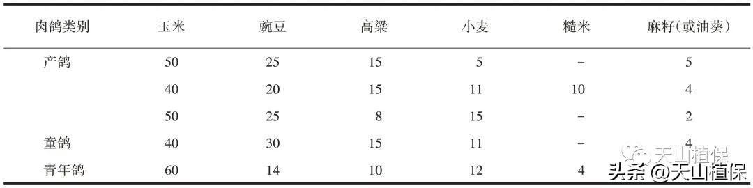 致富经麻雀养殖_致富经麻雀养殖_致富经麻雀养殖