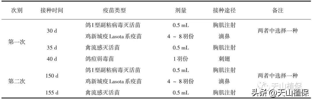 致富经麻雀养殖_致富经麻雀养殖_致富经麻雀养殖