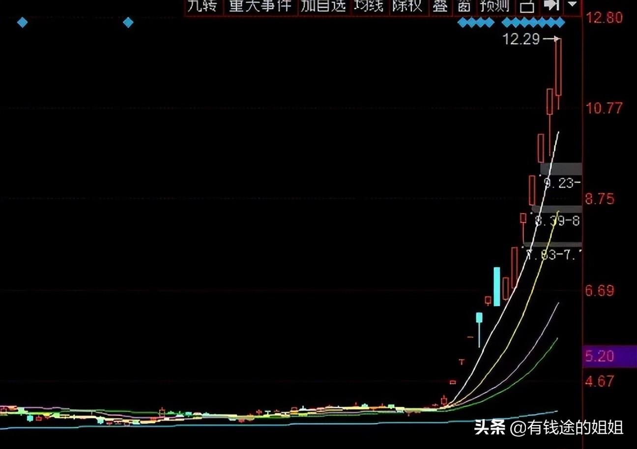 致富经麻雀养殖_致富经麻雀养殖_致富经麻雀养殖