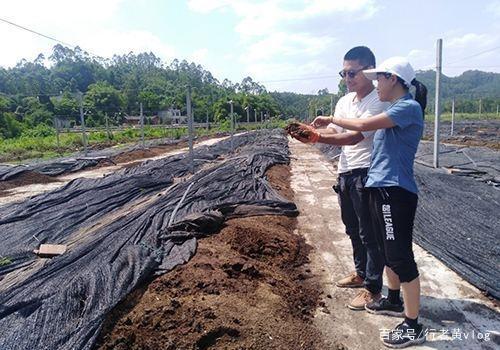 致富养殖蚯蚓室内可以养吗_室内养殖蚯蚓致富_致富养殖蚯蚓室内能养吗