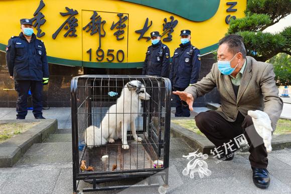 养殖狐狸致富视频_狐狸养殖的成本与利润_视频致富狐狸养殖