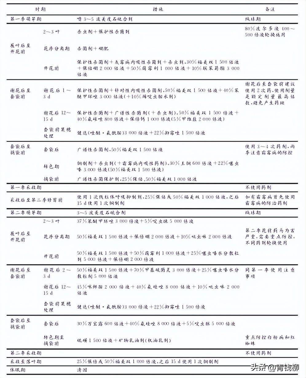 “阳光玫瑰”葡萄在桂东南地...及一年两收优质高效栽培技术