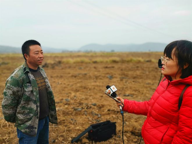 致富马铃薯种植农民收入多少_2021年马铃薯种植补贴政策_农民种植马铃薯致富