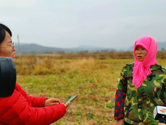 农民种植马铃薯致富_2021年马铃薯种植补贴政策_致富马铃薯种植农民收入多少