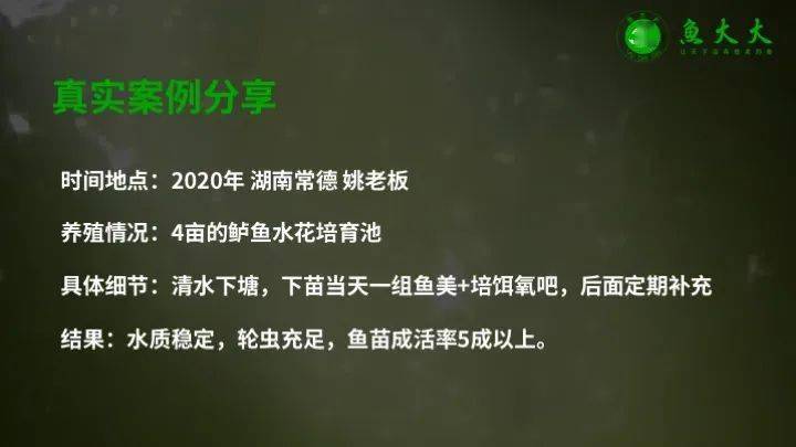 观赏鱼水花鱼苗养殖技术视频_水花鱼苗养殖技术视频_怎样养殖水花鱼苗