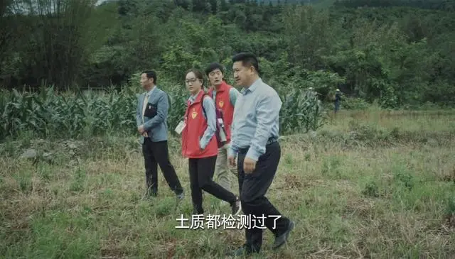 中药种植致富套路书_中药材致富经_种植致富药材