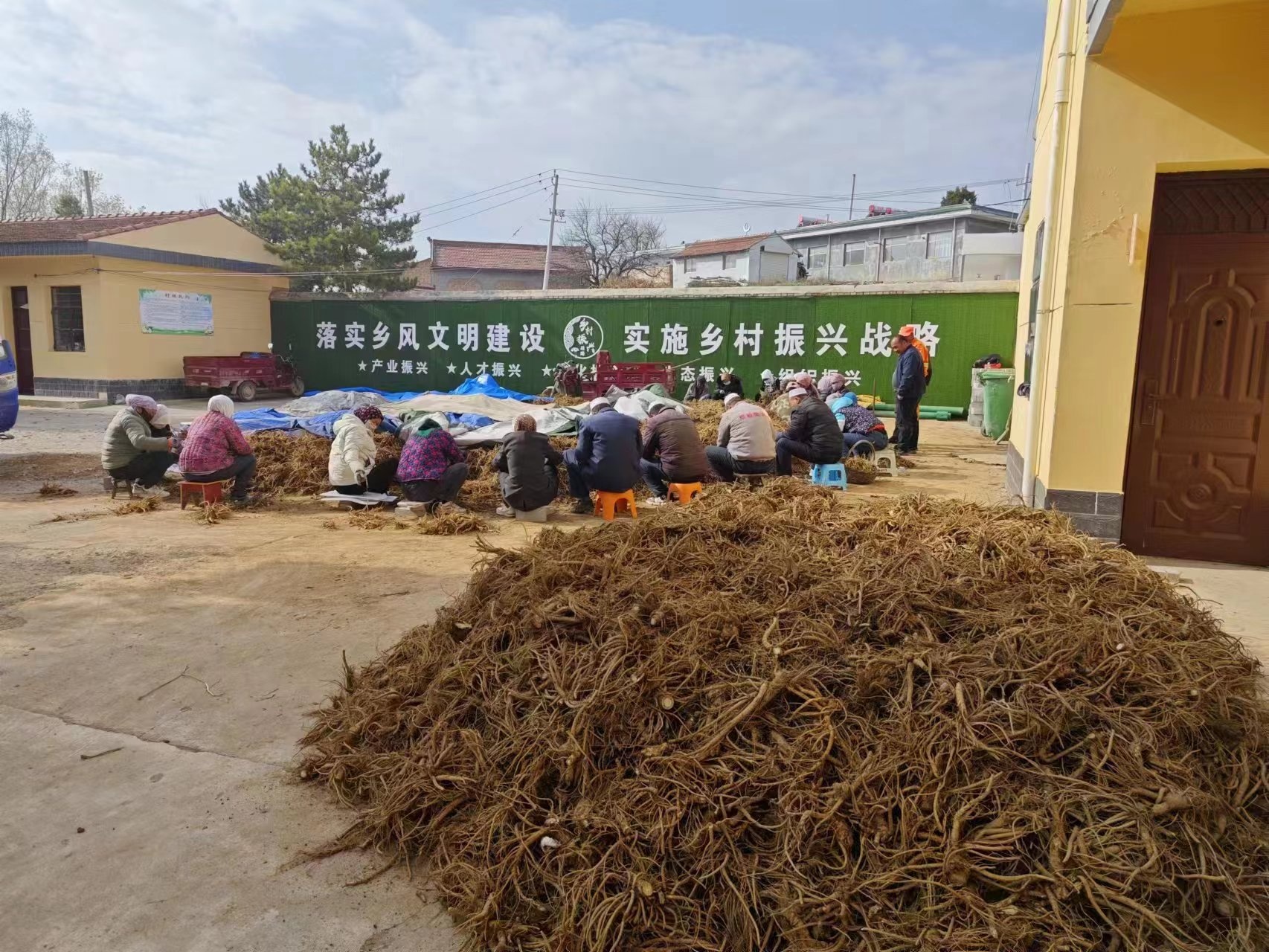 甘肃平凉崆峒区：特色产业赋能乡村振兴