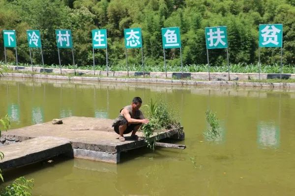 致富故事｜小小鱼儿，游出一条奔康路