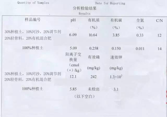 农业致富种植药材_药材种植的致富带头人_药材种植致富项目