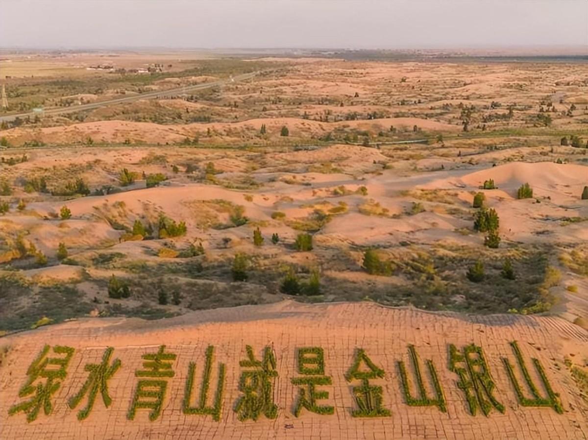 野兔养殖基地致富经_养殖野兔市场前景怎么样_散养野兔养殖基地视频