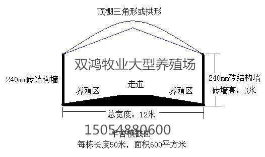 致富经牛肉养殖视频_肉牛养殖视频全集视频_肉牛养殖视频每日农经