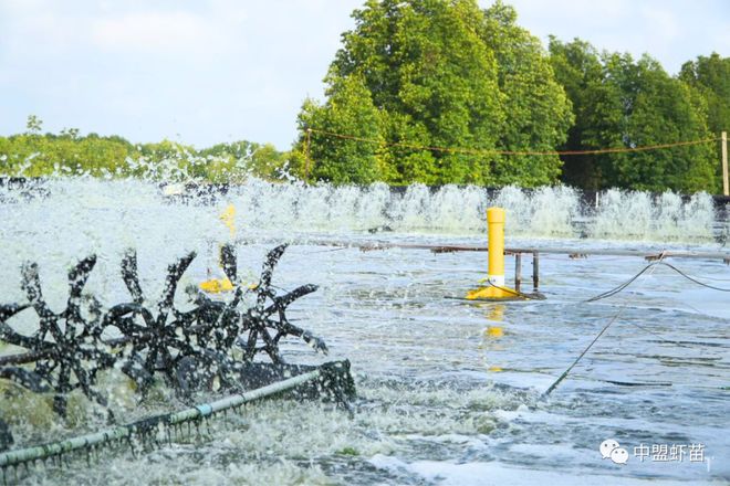 水产养殖调水技术_养殖水产调水技术规程_养殖水产调水技术规范