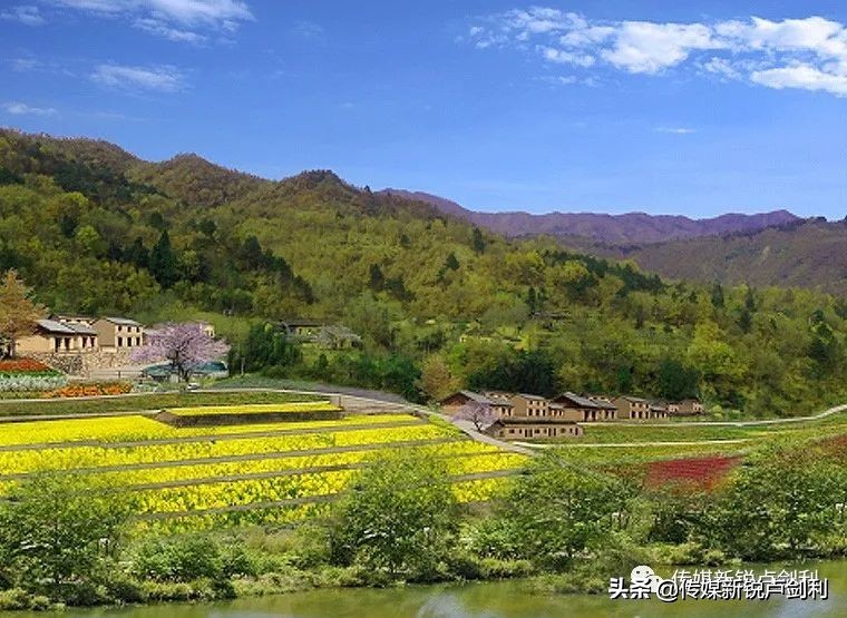 陕南中药材种植_陕西种植什么药材最赚钱_陕南种植药材致富