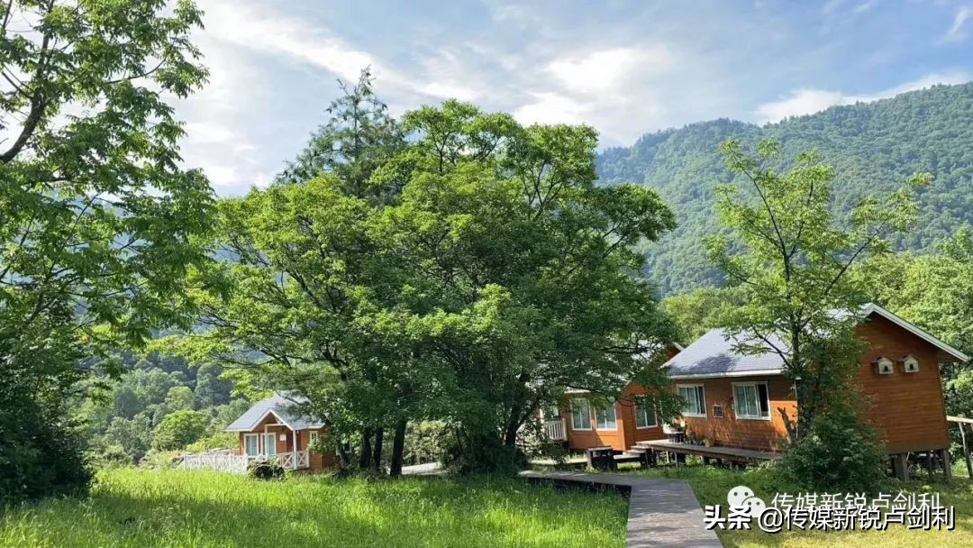 陕南中药材种植_陕西种植什么药材最赚钱_陕南种植药材致富