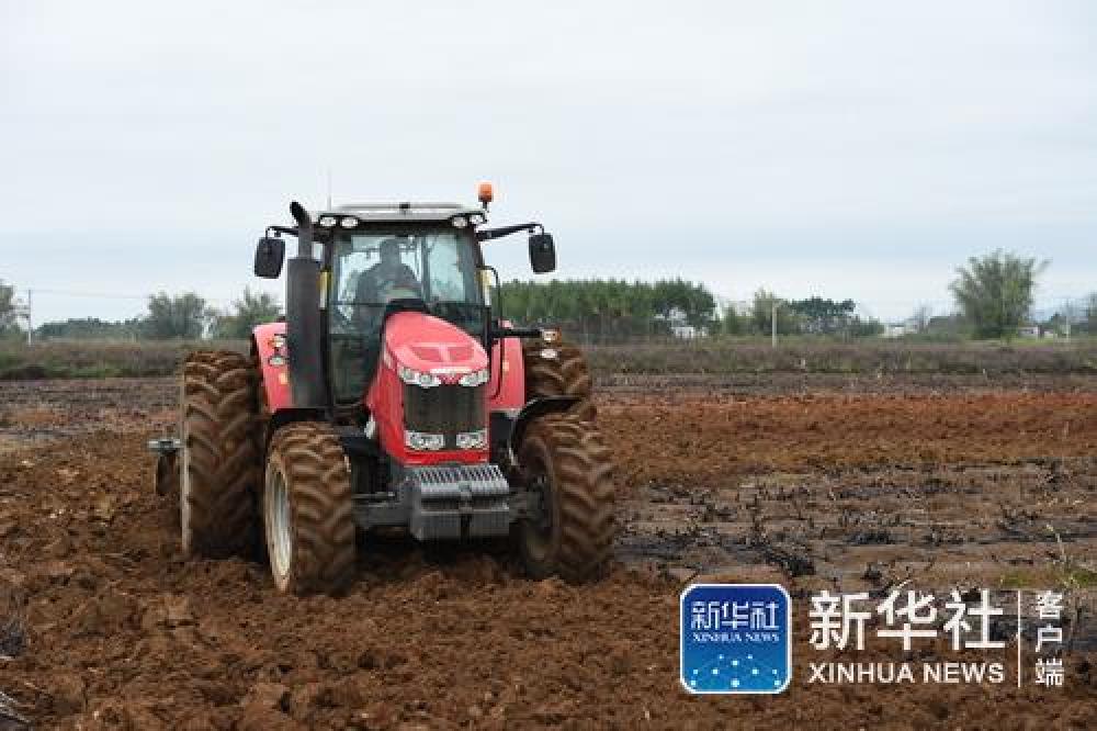 防控不留死角  生产不误农时——广西宾阳农村春耕备耕见闻