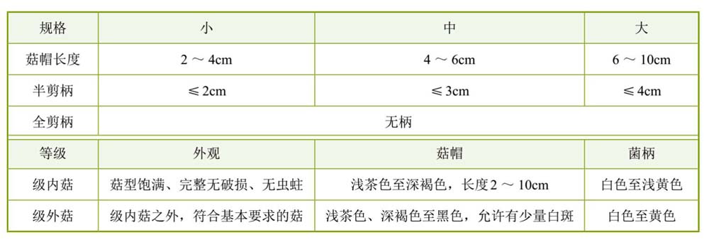 致富经羊肚菌种植视频_农业致富网羊肚菌种植_致富经羊肚菌的种植技术