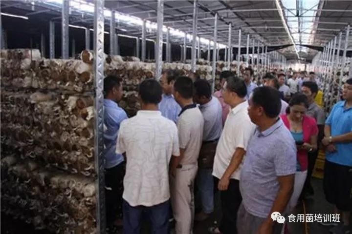 种植食用菌前景怎么样_韩国食用菌种植技术_种植食用菌挣钱吗