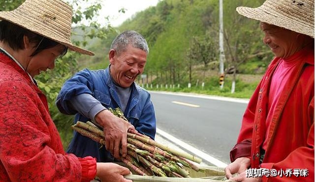 甘蔗种植赚钱吗_农村种植甘蔗致富_致富经甘蔗种植视频