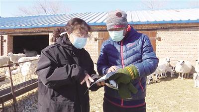 特种养殖肉牛技术视频_特种畜禽养殖_特种肉牛养殖技术