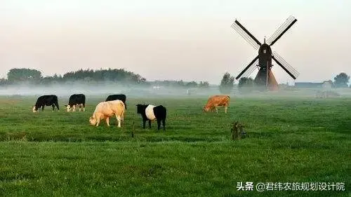 特种养殖肉牛技术视频_特种肉牛养殖技术_特种养殖前景